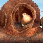 João de Barro: O Arquiteto da Natureza