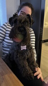 Leia mais sobre o artigo A Alegria dos Cães: Como a Obsessão por Brinquedos os Torna Mais Felizes