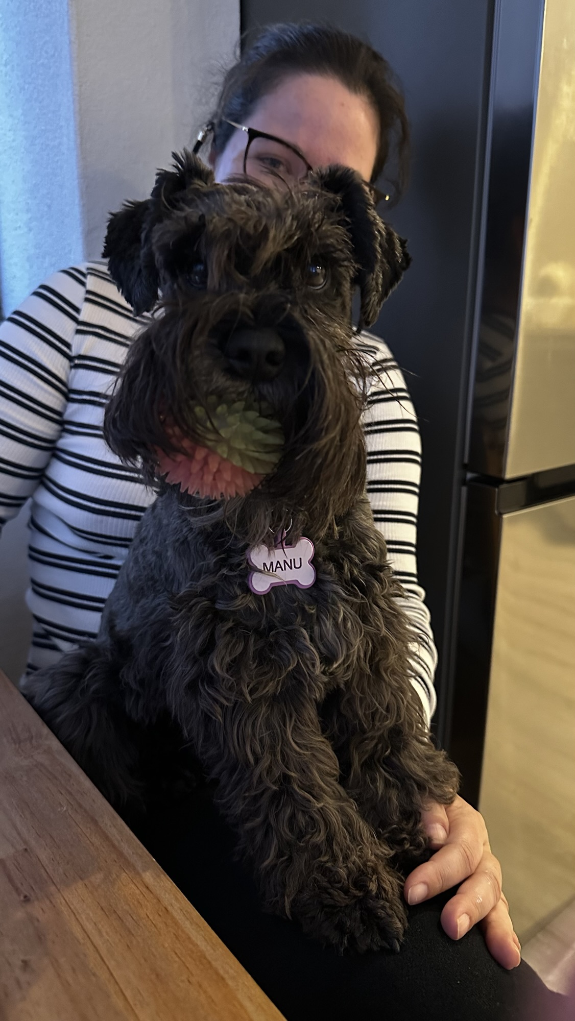 A Alegria dos Cães: Como a Obsessão por Brinquedos os Torna Mais Felizes